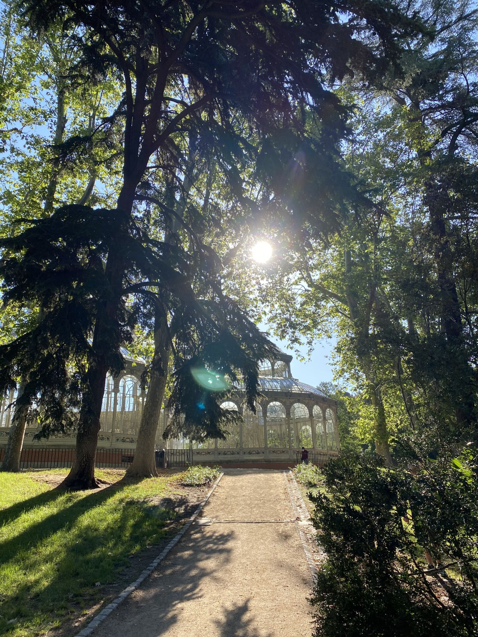 Apple iPhone 11 Pro sample photo. Trees, palace, spain photography