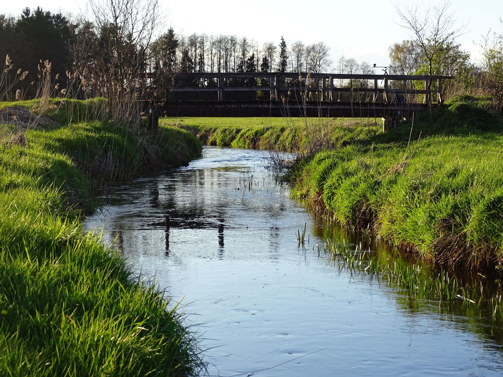 Sony Cyber-shot DSC-HX400V sample photo. Nature, bach, water photography