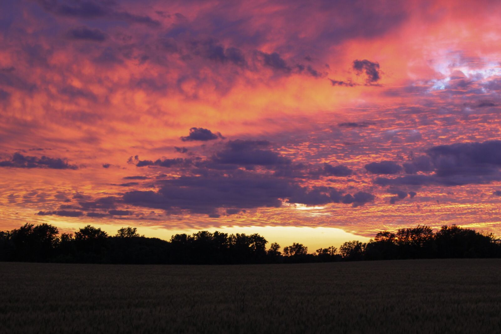 Canon EOS 600D (Rebel EOS T3i / EOS Kiss X5) sample photo. Sunset, sun, sky photography
