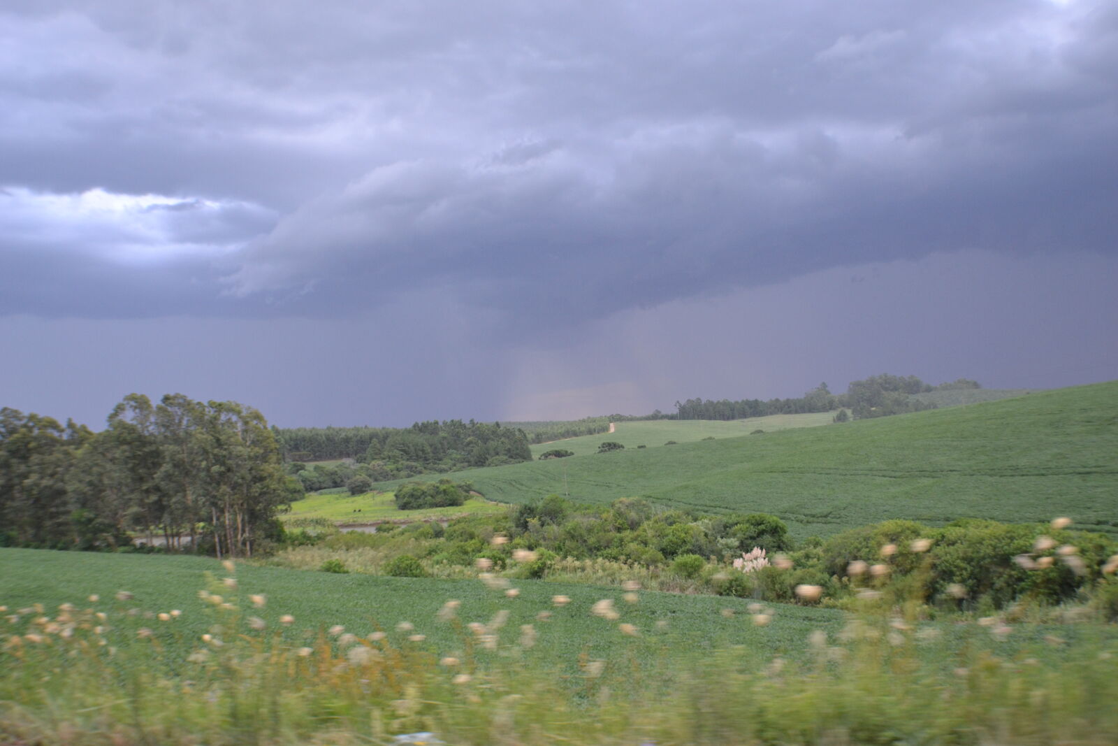 Nikon D3100 sample photo. Field photography