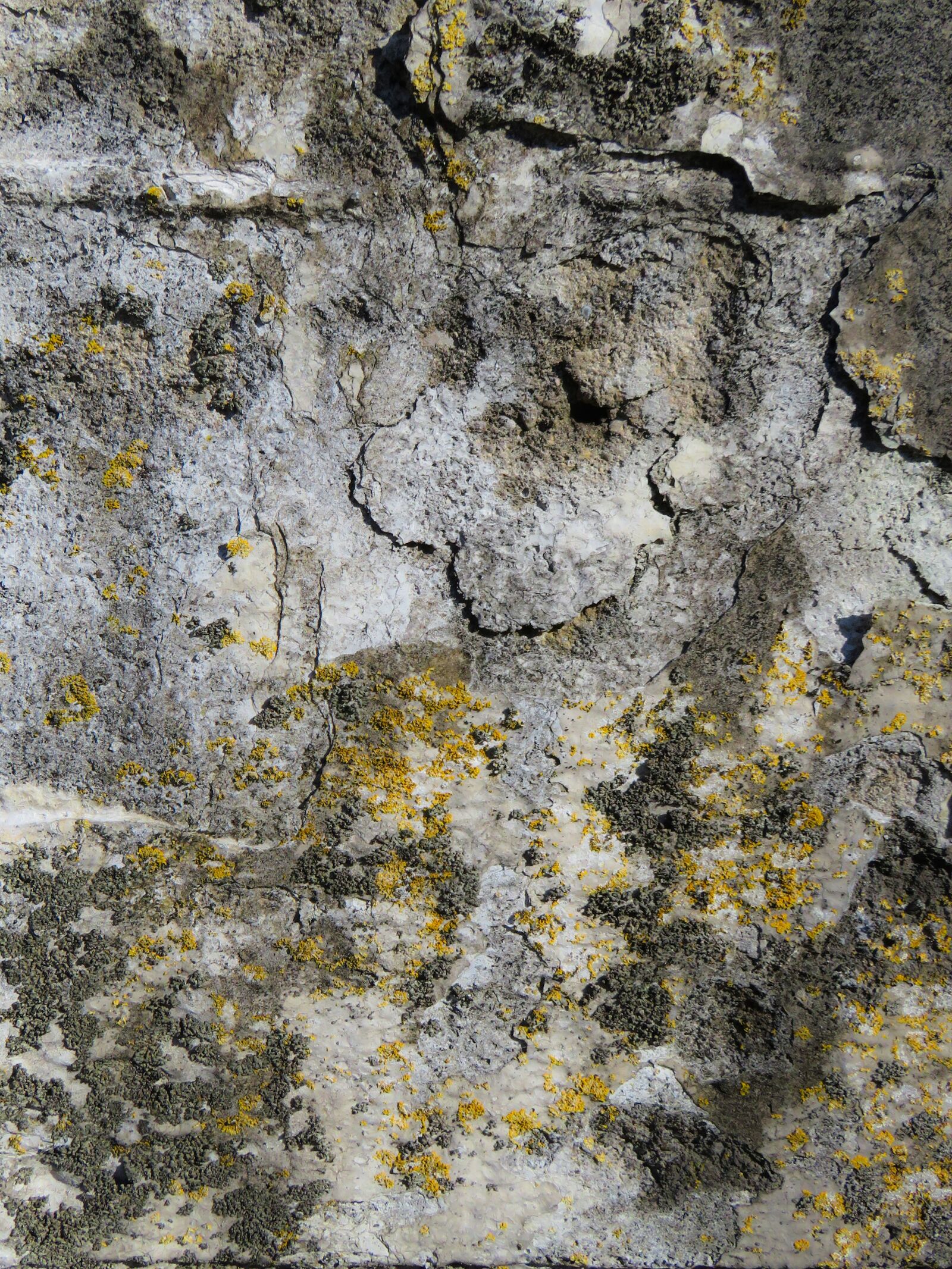 Canon PowerShot SX710 HS sample photo. Texture, background, wall photography