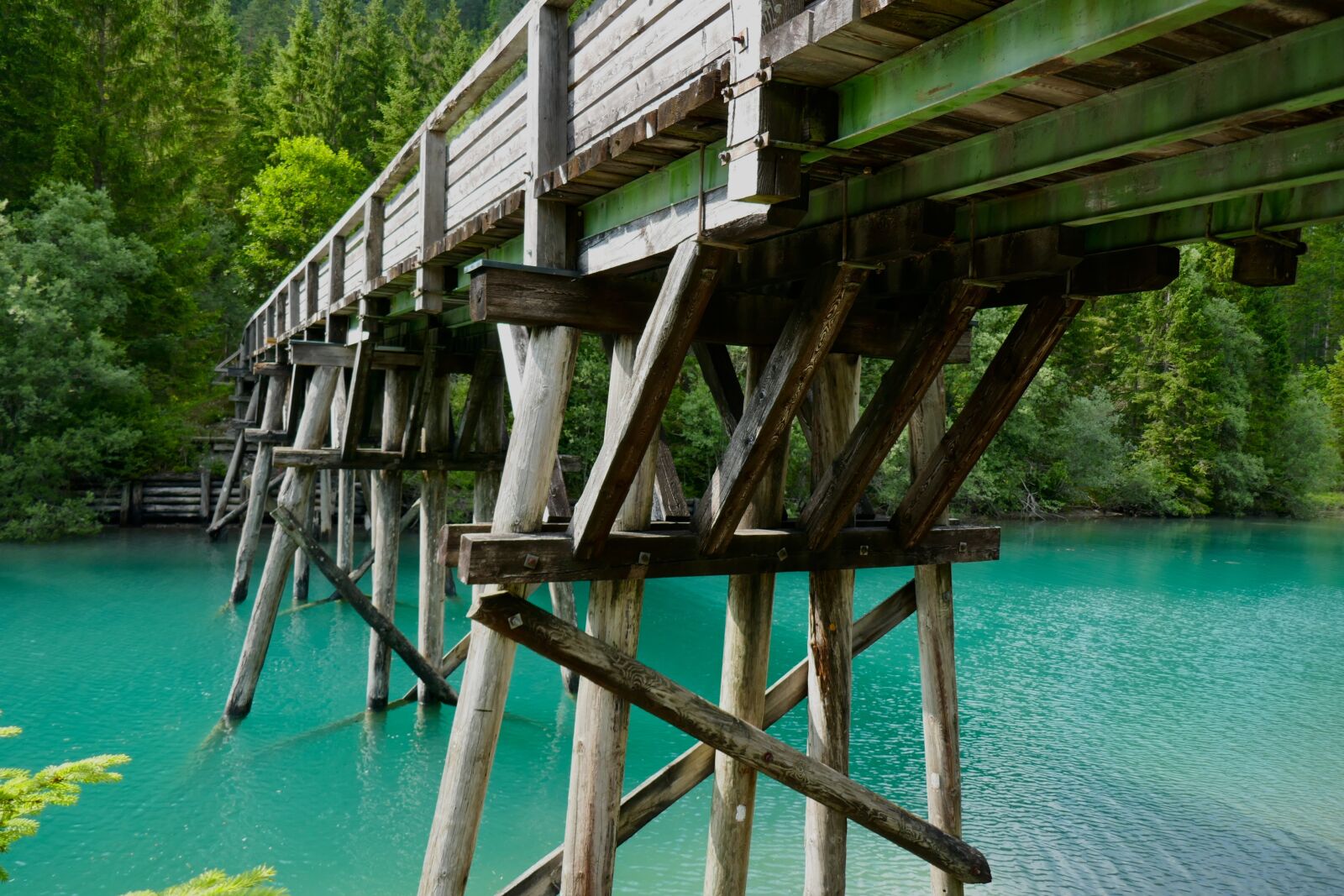 Panasonic DMC-TZ101 sample photo. Bridge, wooden bridge, boardwalk photography