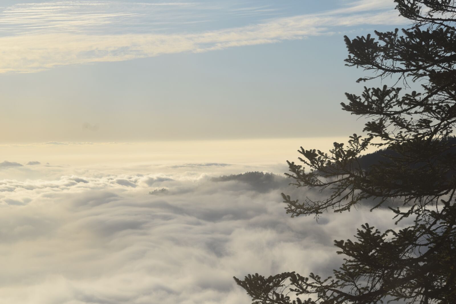 Nikon D3300 sample photo. Kalinchowk, nepal, trekking photography