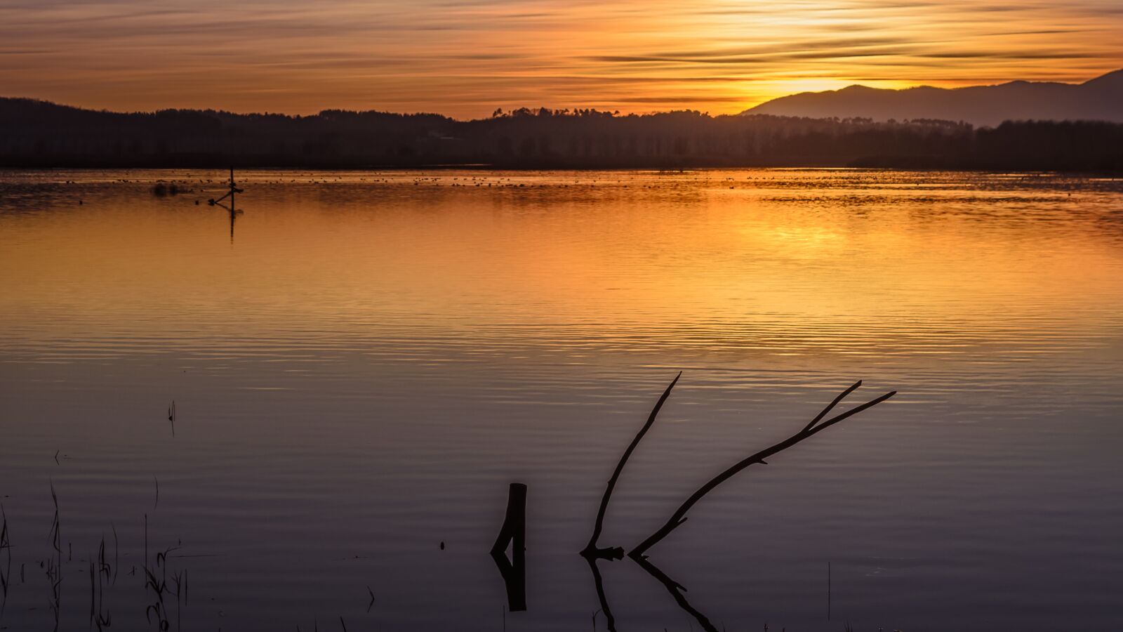 Nikon D7000 sample photo. Sunset, waters, lake photography