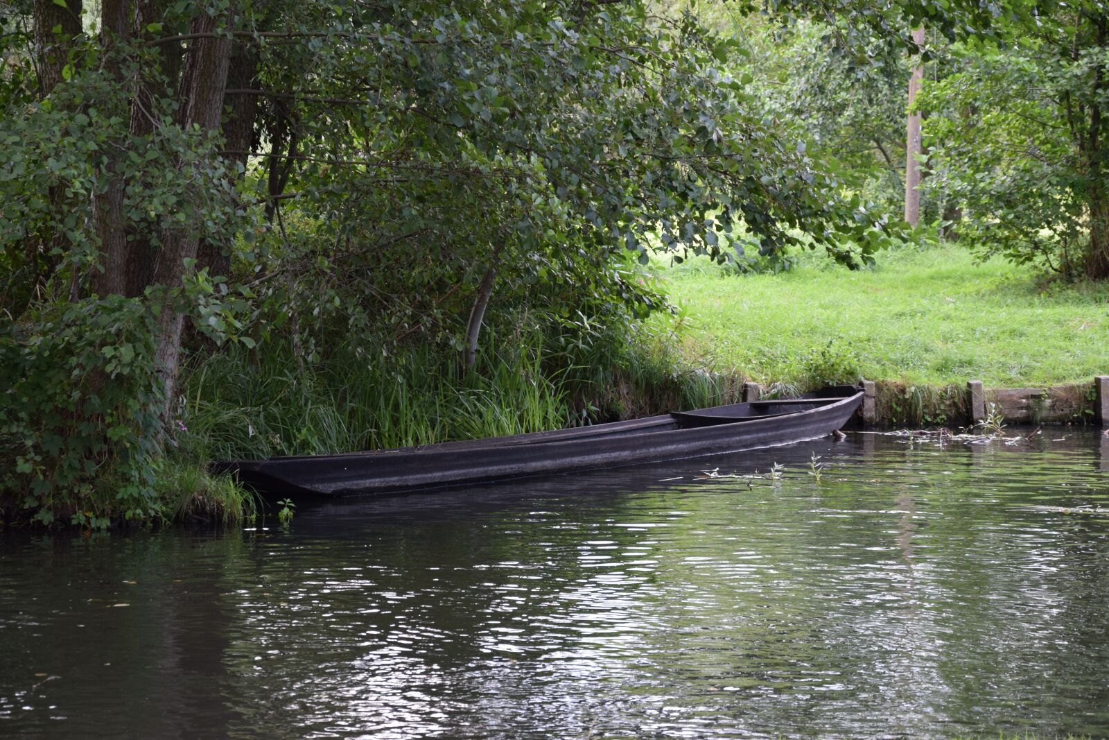Nikon D5300 sample photo. Boat, forest, tree photography