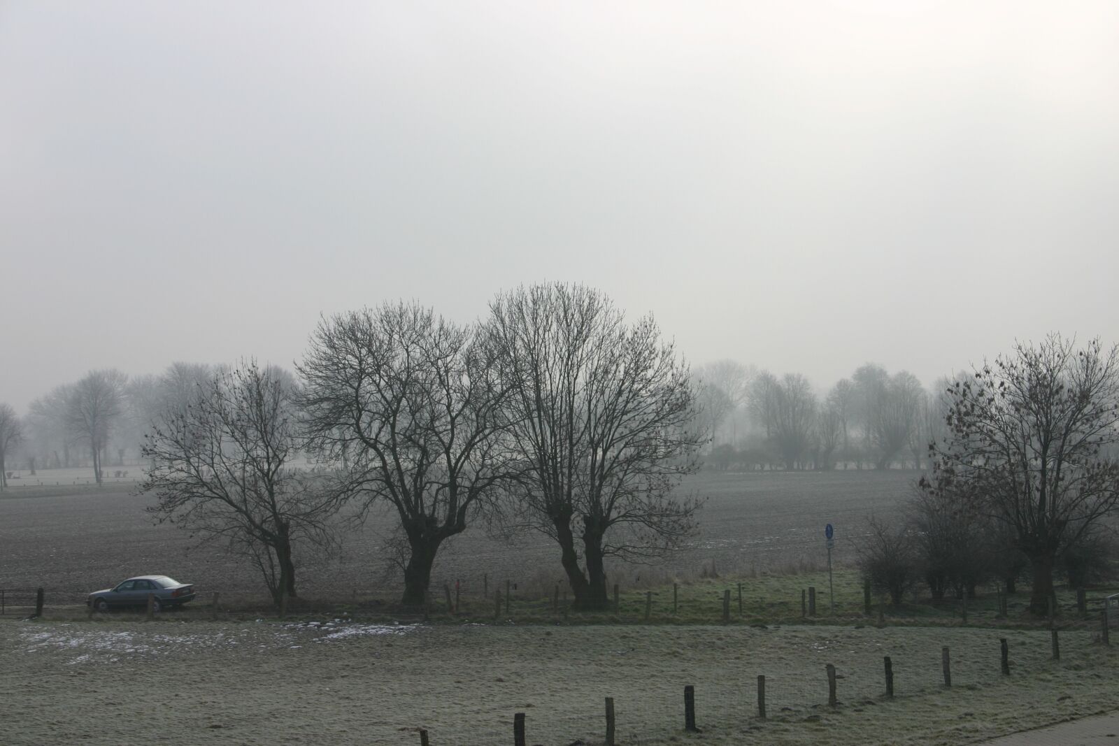 Canon EOS 300D (EOS Digital Rebel / EOS Kiss Digital) sample photo. Winter, niederrhein, fog photography