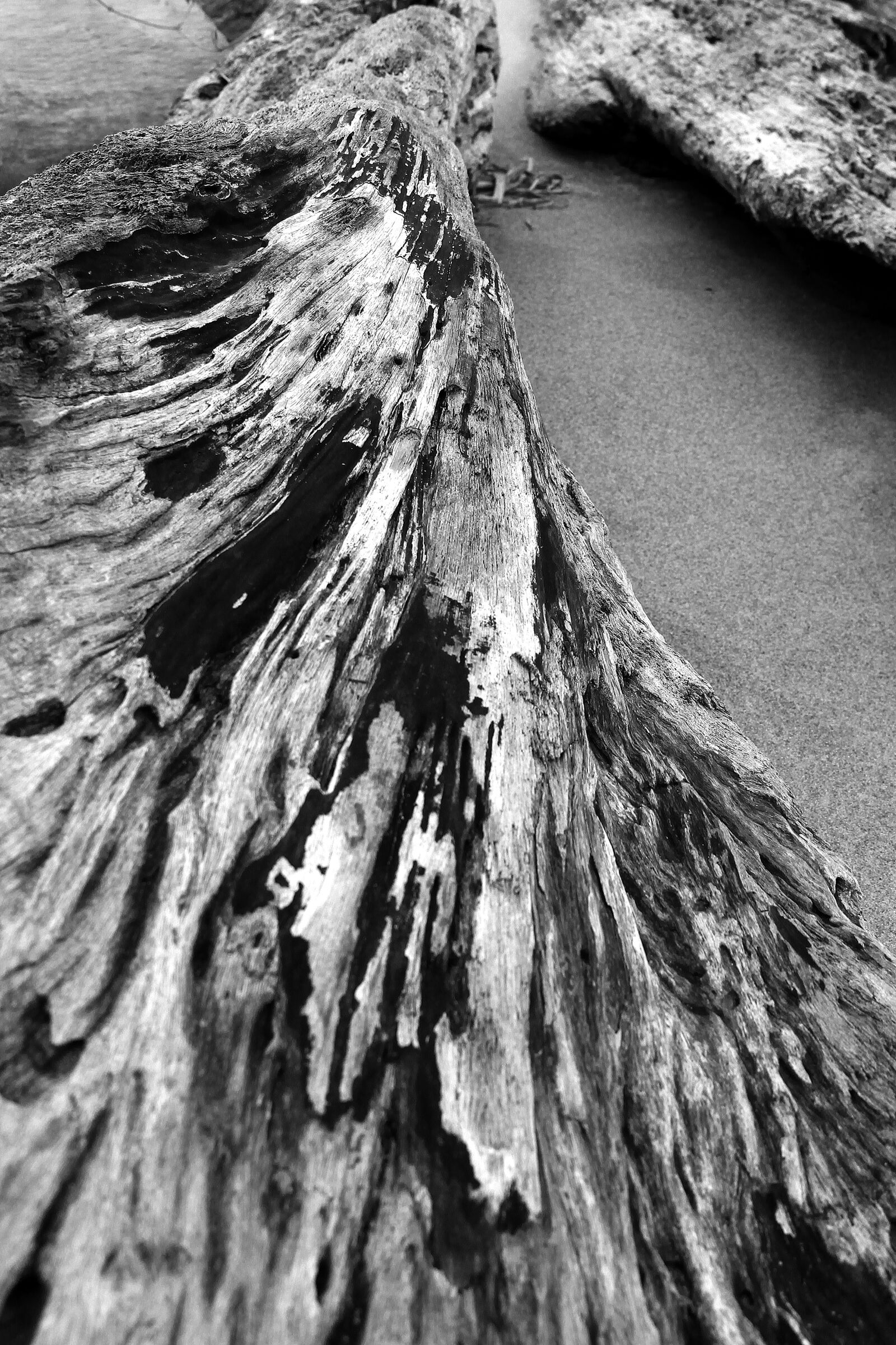 Canon EF-S 18-135mm F3.5-5.6 IS sample photo. Old wood, texture, vintage photography