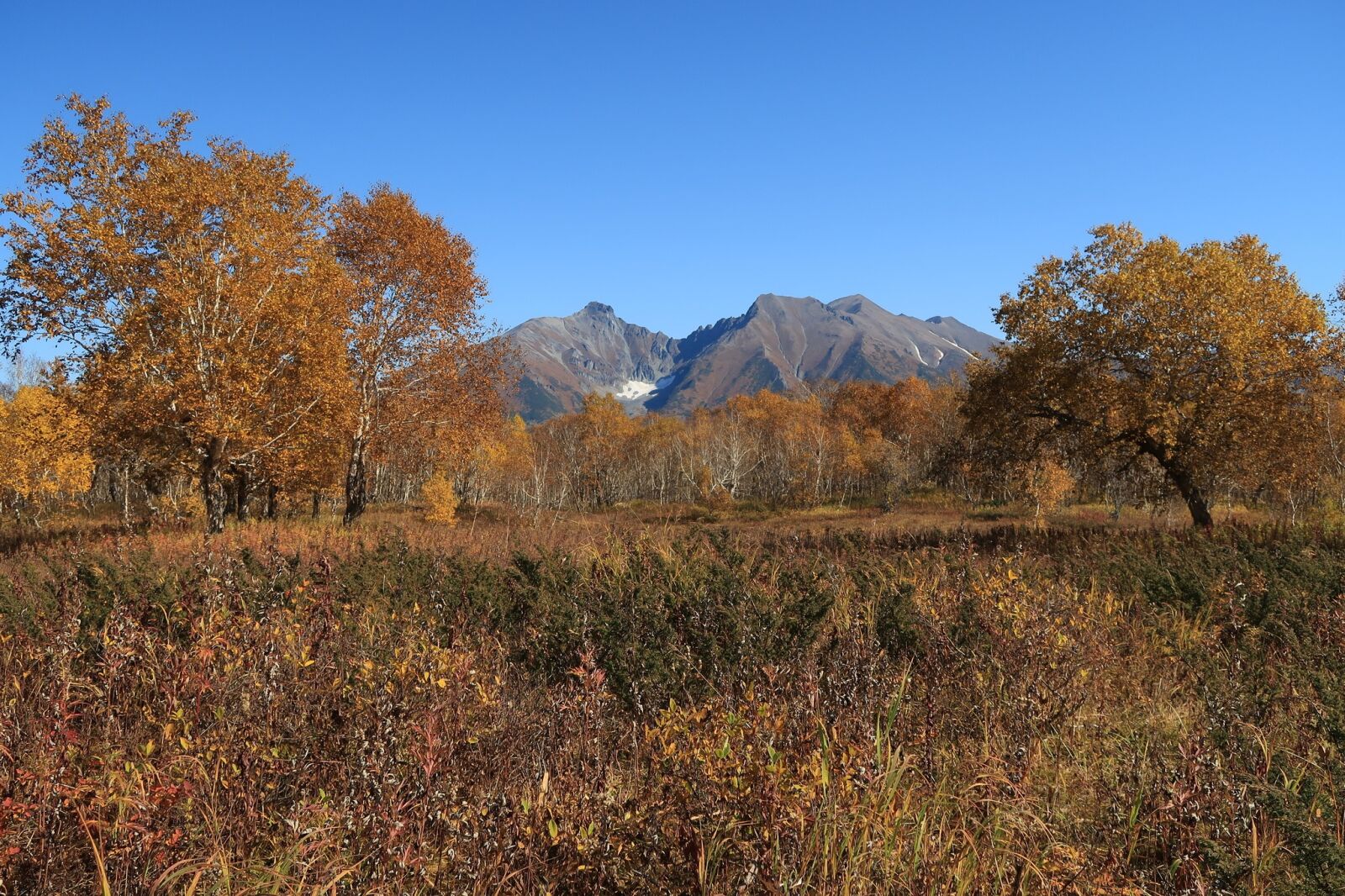 Canon PowerShot G7 X Mark II sample photo. Autumn, mountains, forest photography