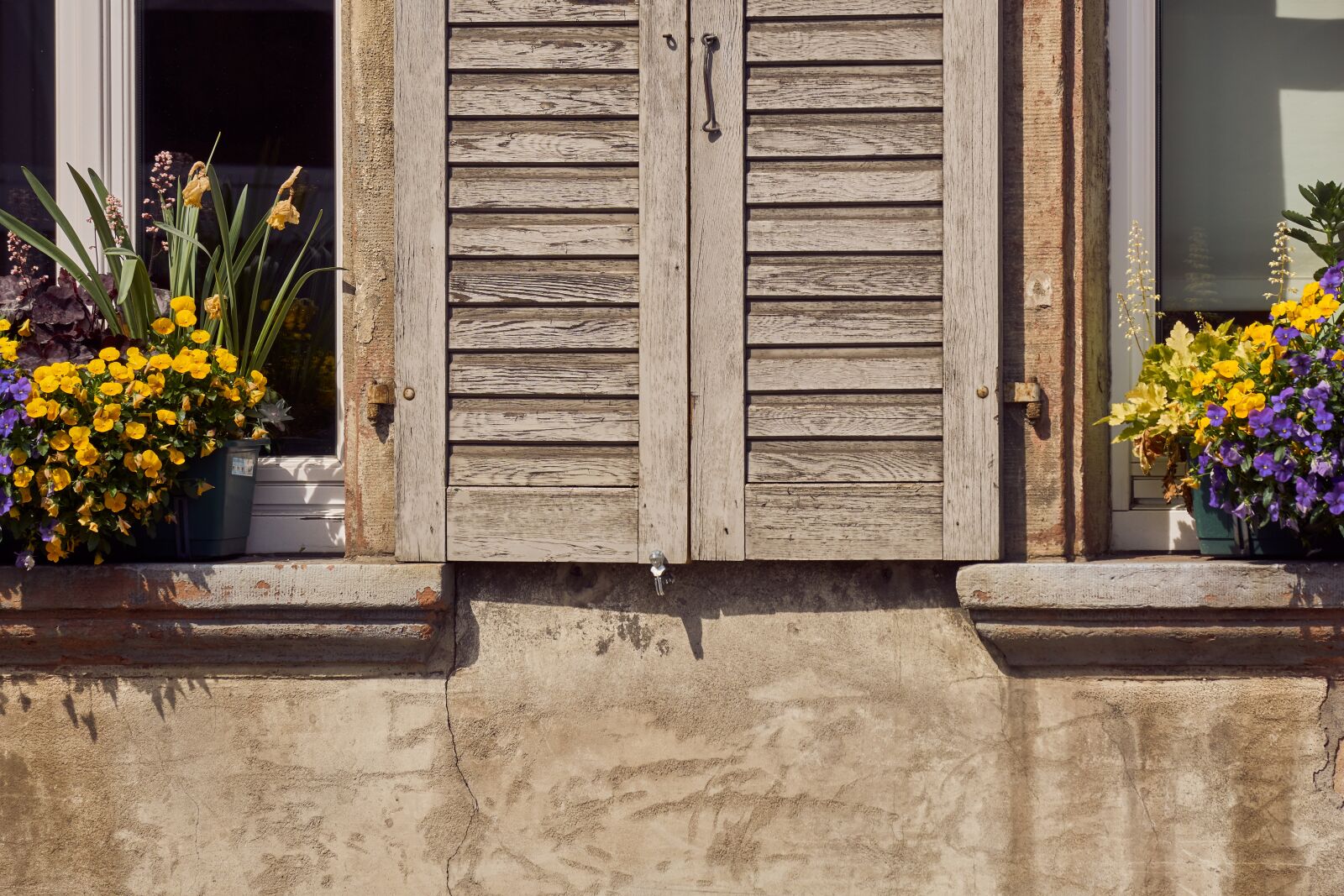Sony E 55-210mm F4.5-6.3 OSS sample photo. Window, flowers, shutter photography