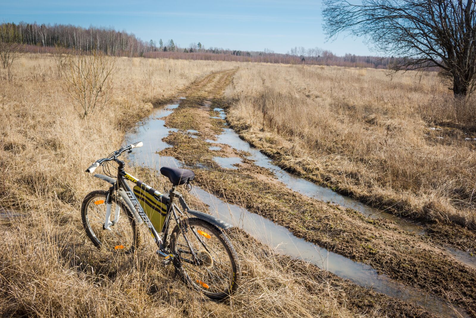 Canon EOS 100D (EOS Rebel SL1 / EOS Kiss X7) sample photo. Bike, led, ride photography
