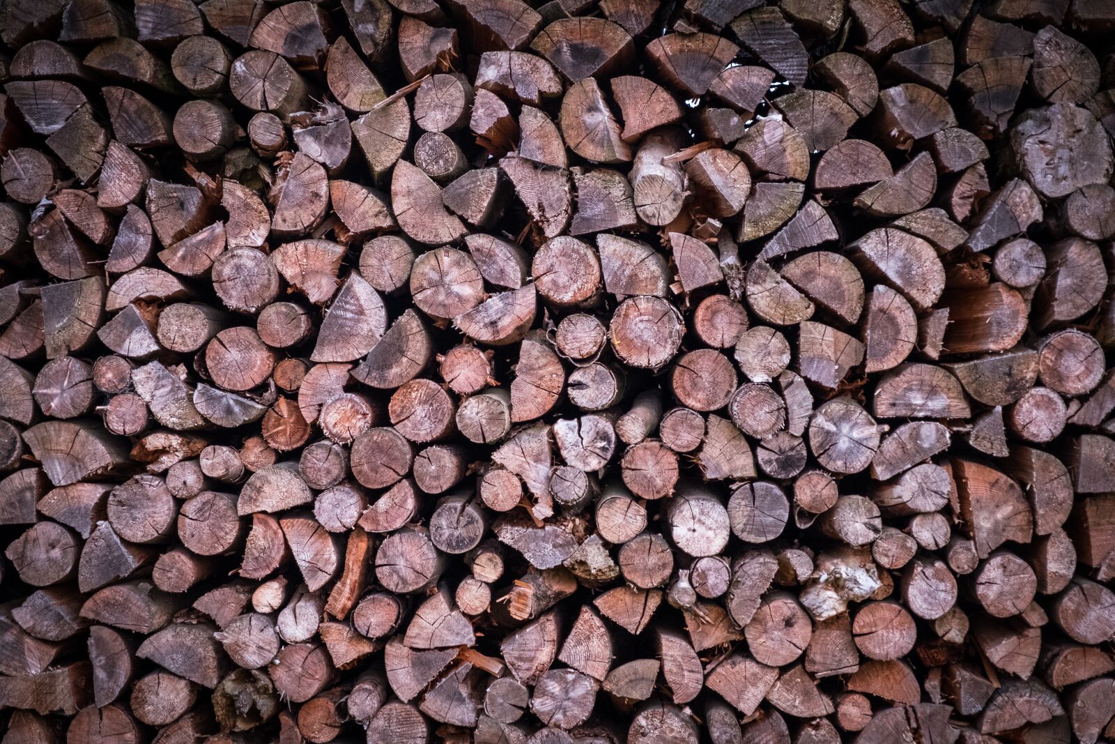 Fujifilm X-T2 sample photo. Pile of wood, wood photography