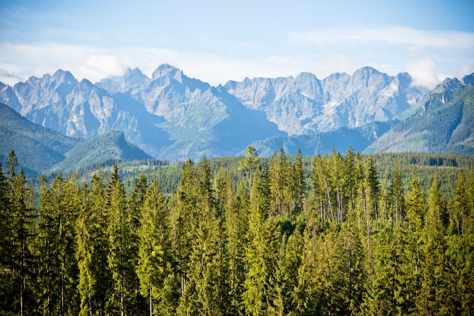 Nikon D750 sample photo. Tatry, glade starvation, view photography
