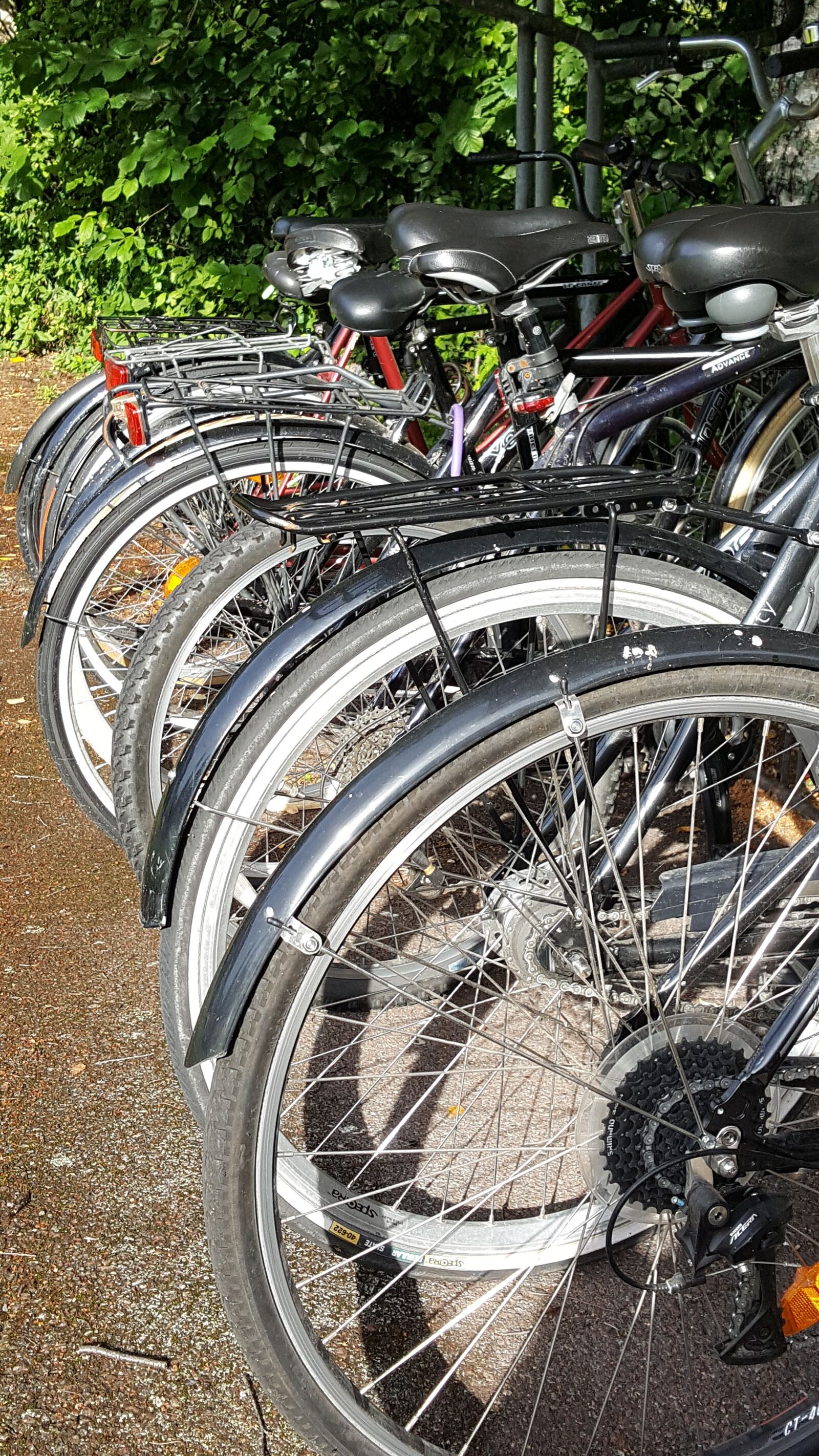 Samsung GALAXY S6 edge sample photo. Cycle, bike racks, transport photography