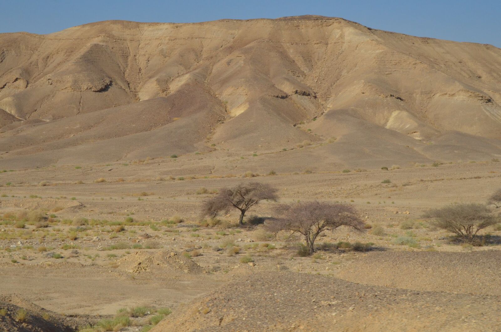 Nikon D7000 sample photo. Desert, israel, landscape photography