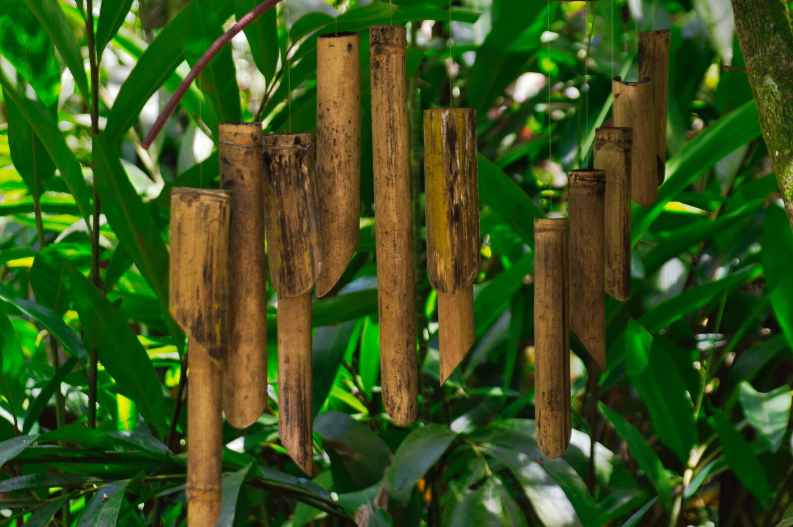Nikon D3200 sample photo. Cartago, costa rica, wind photography