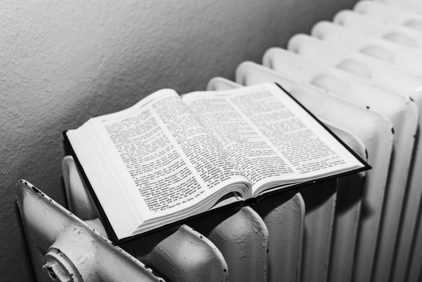 Nikon D7100 sample photo. Bible, book, holy photography