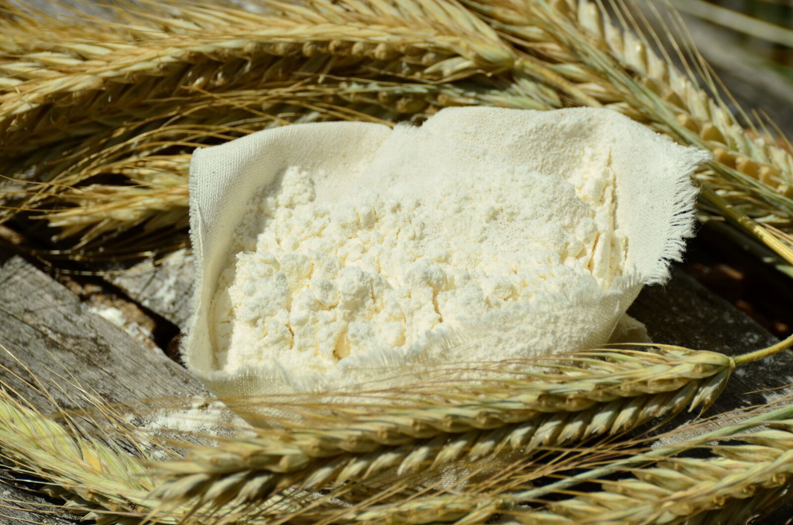 Nikon D5100 sample photo. Flour, cereals, barley photography