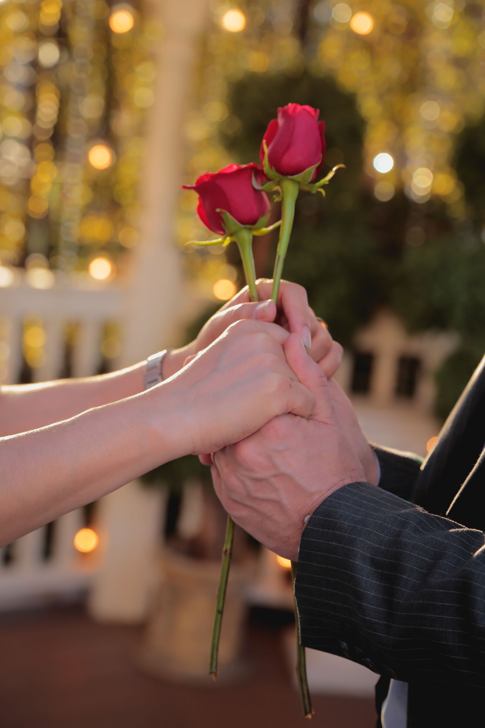 Canon EOS 6D + Canon EF 24-105mm F4L IS USM sample photo. Love, celebration, roses photography