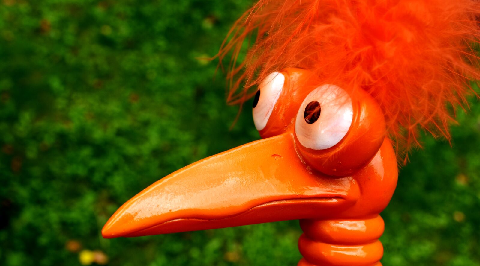 Nikon D7200 sample photo. Joker, orange, funny photography