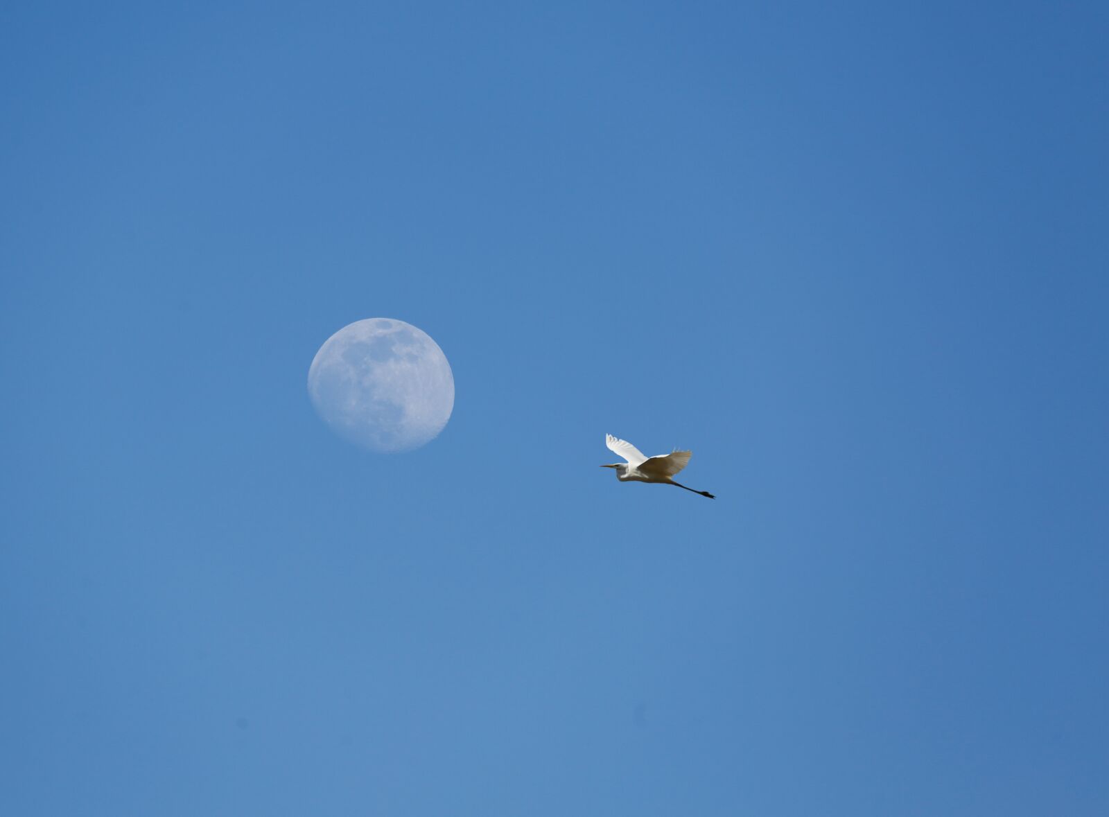 Canon EF 100-400mm F4.5-5.6L IS USM sample photo. Moon, sky, full moon photography