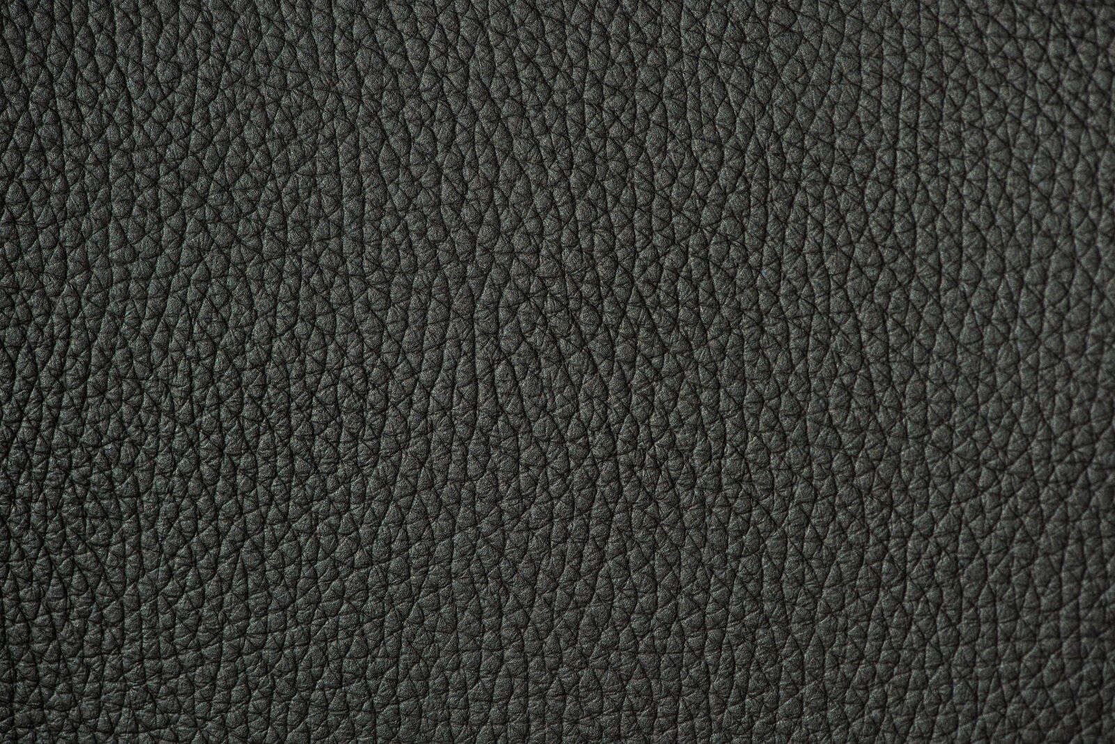 Nikon D750 sample photo. Background, brown, leather photography