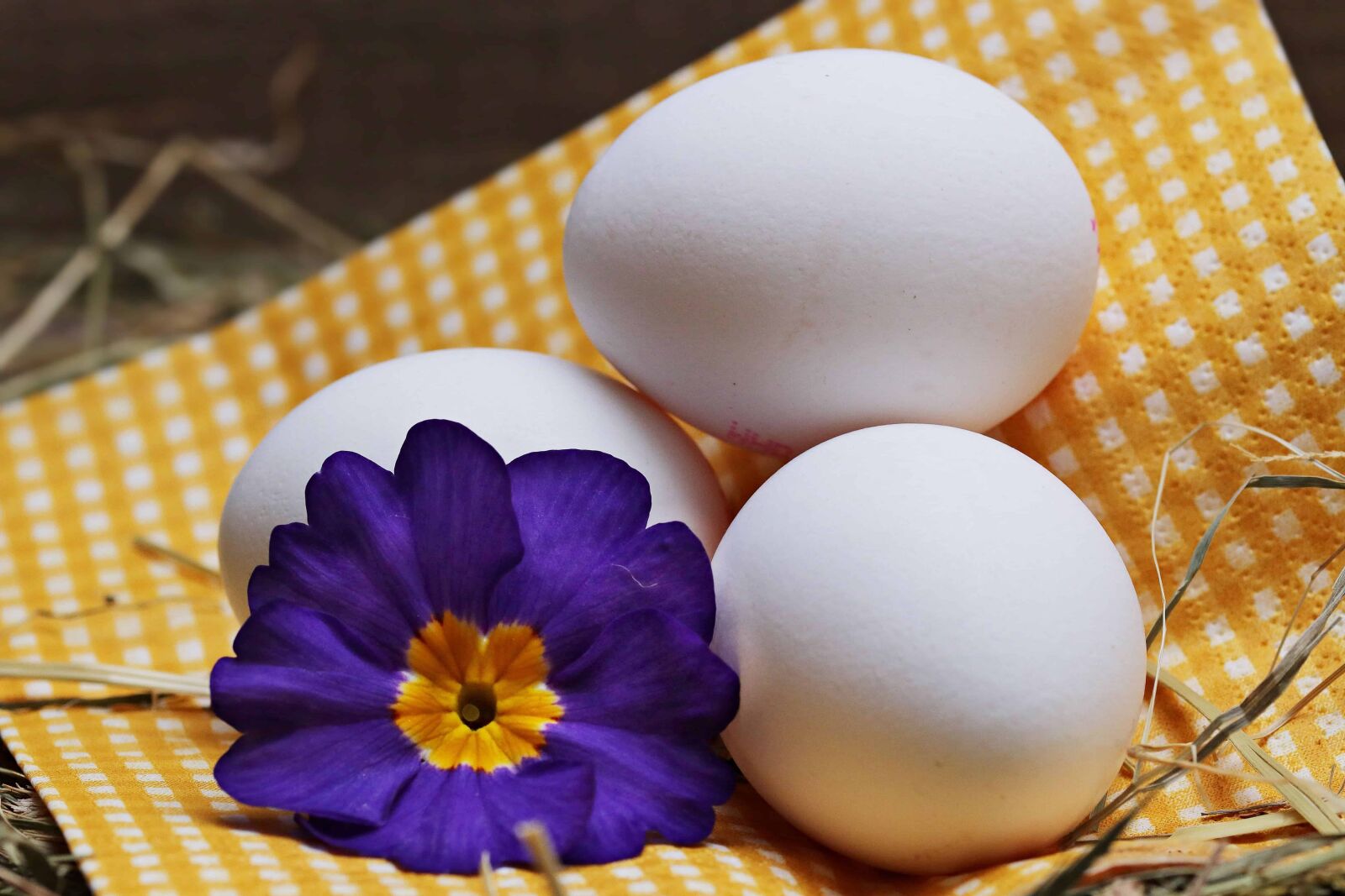 Canon EOS 80D sample photo. Easter egg, still life photography