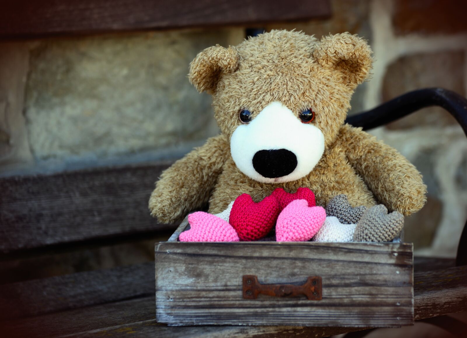 Nikon D610 sample photo. Teddy, teddy bear, heart photography