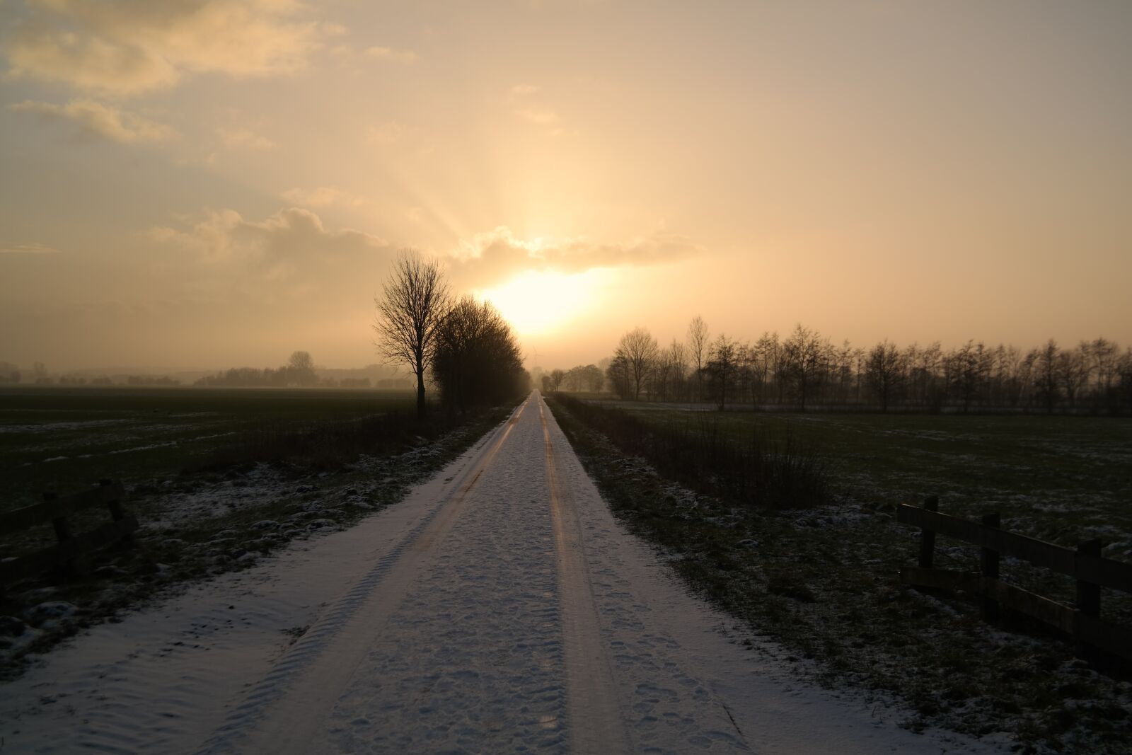 Samsung NX30 sample photo. Wintry, northern germany, close photography