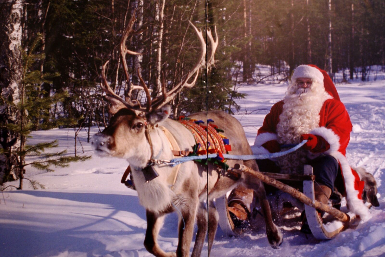 Sony Alpha DSLR-A200 sample photo. Christmas, design, decorative photography