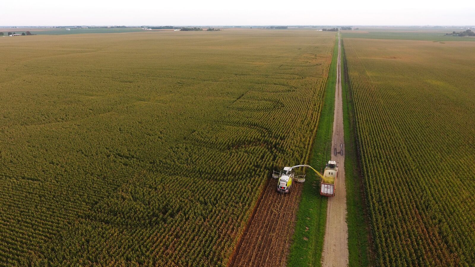 DJI FC330 sample photo. Agriculture, corn, farming photography