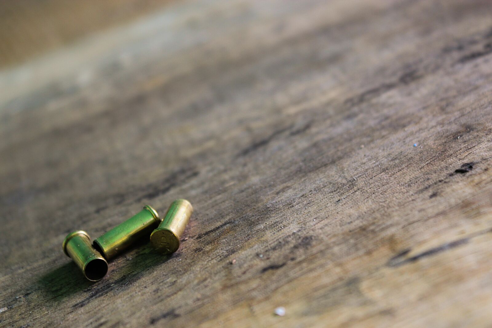 Canon EOS 1200D (EOS Rebel T5 / EOS Kiss X70 / EOS Hi) sample photo. Bullets, cartridges, table photography