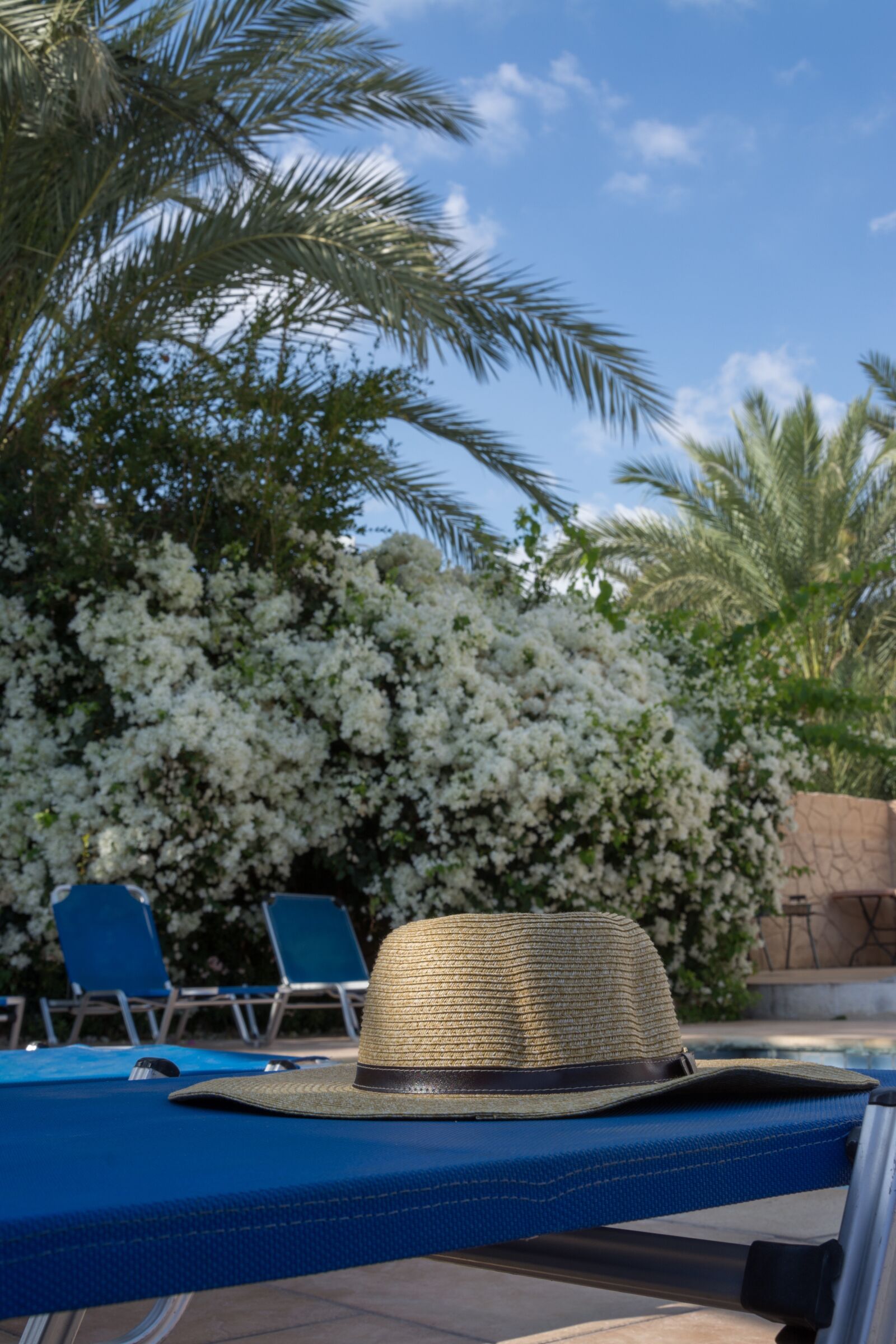 Nikon D7100 sample photo. Holiday, pool, vacation photography