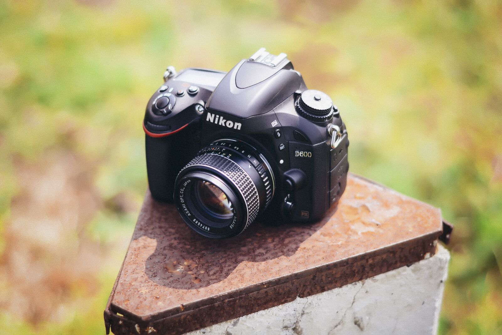 Nikon D7100 sample photo. Camera, photography, photographer photography