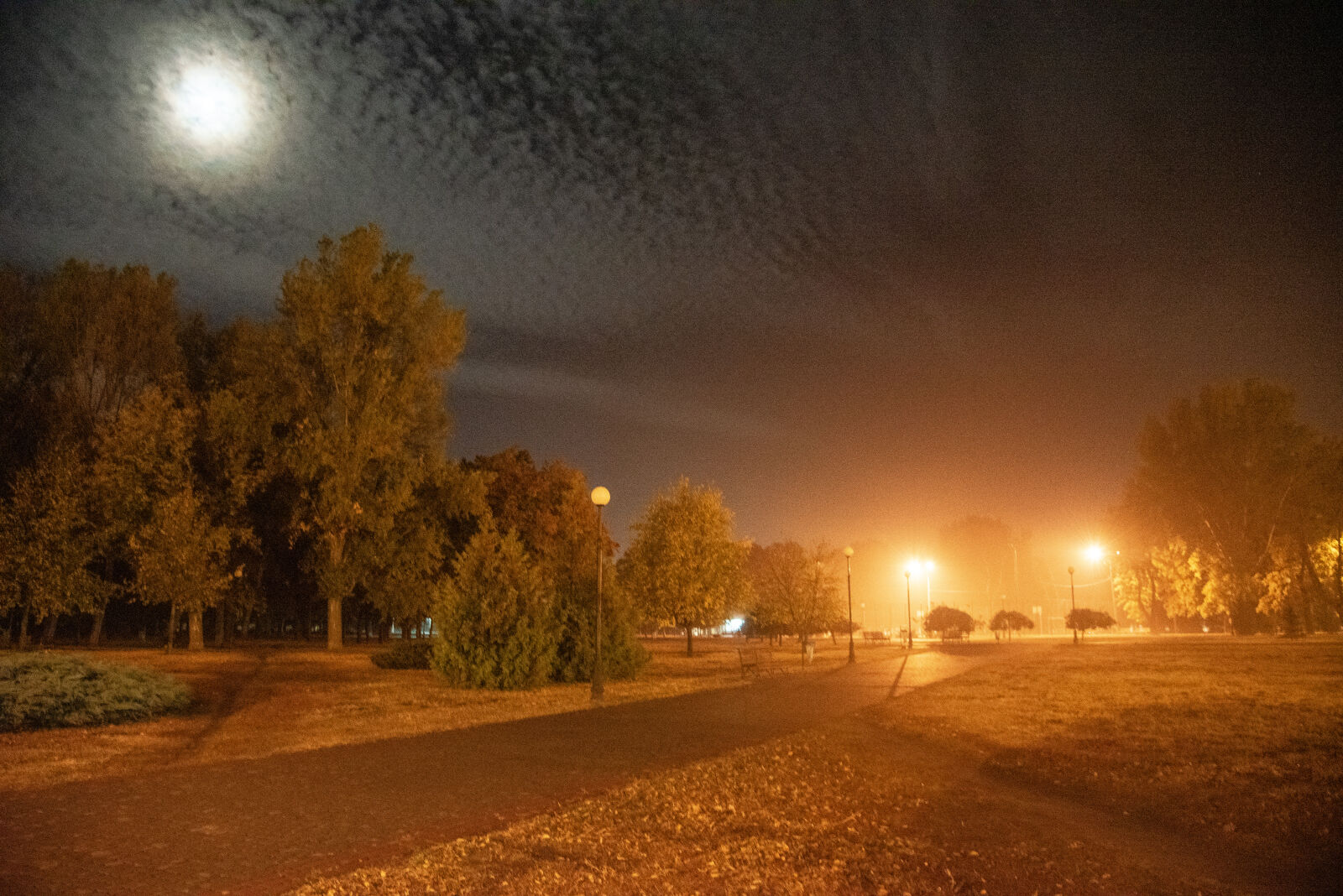 Nikon D750 sample photo