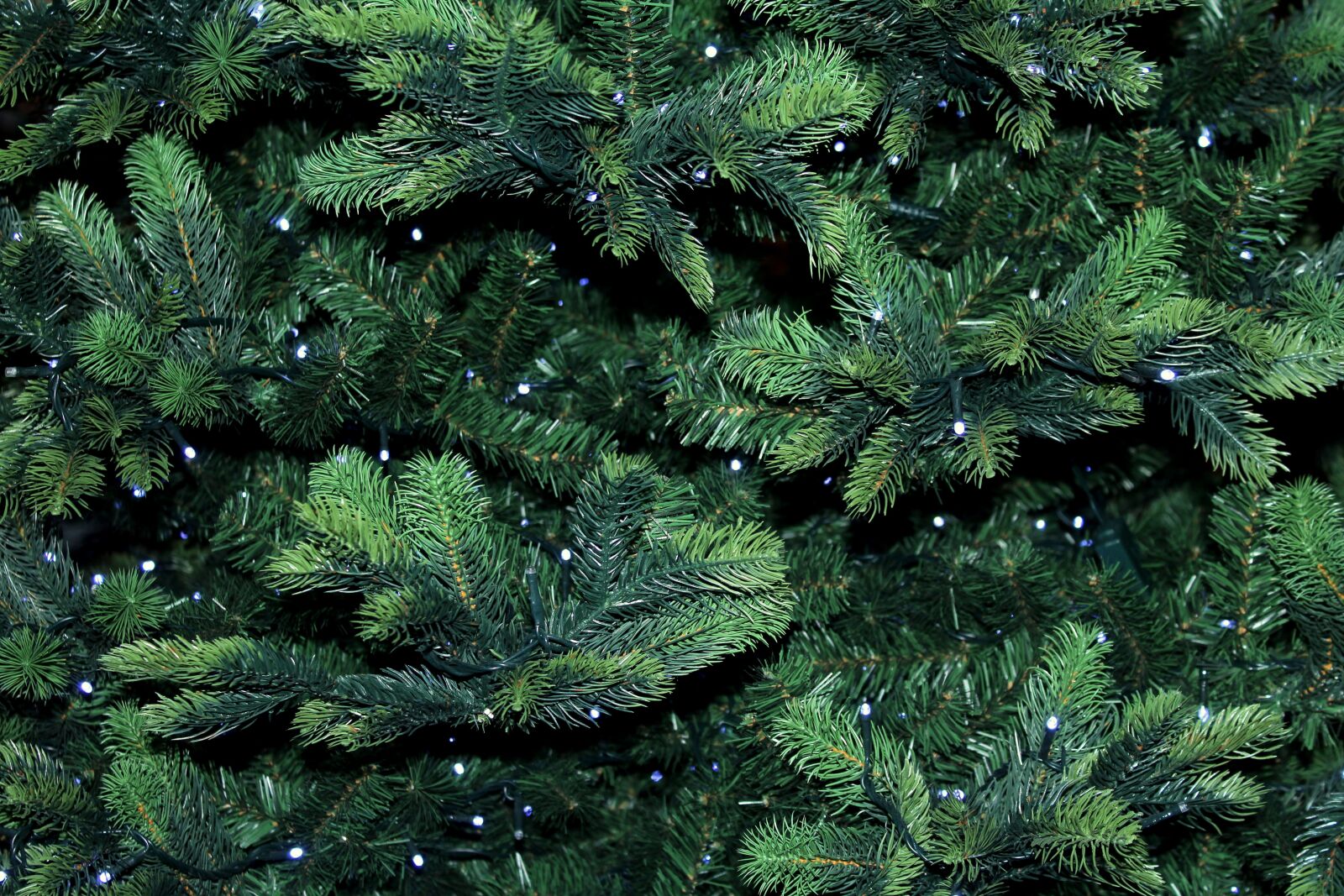 Canon EOS 1200D (EOS Rebel T5 / EOS Kiss X70 / EOS Hi) sample photo. Christmas tree, twigs, tree photography