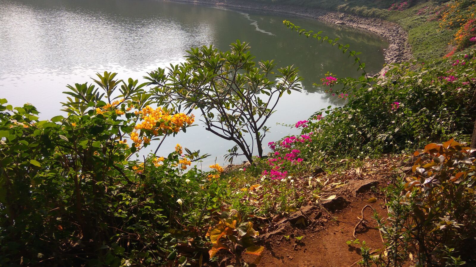 Xiaomi Redmi Note3 sample photo. Lake, garden, nature photography