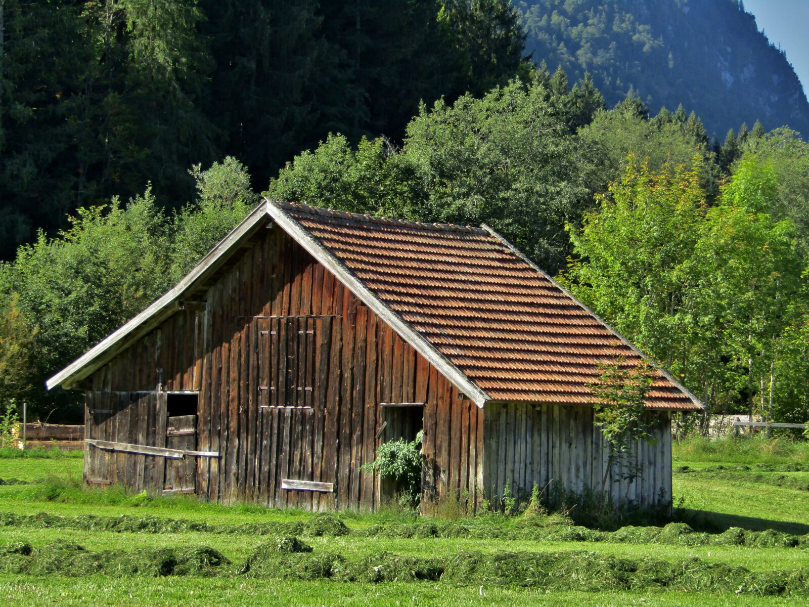 Canon POWERSHOT SX432 IS sample photo. Hut, hay, trees photography