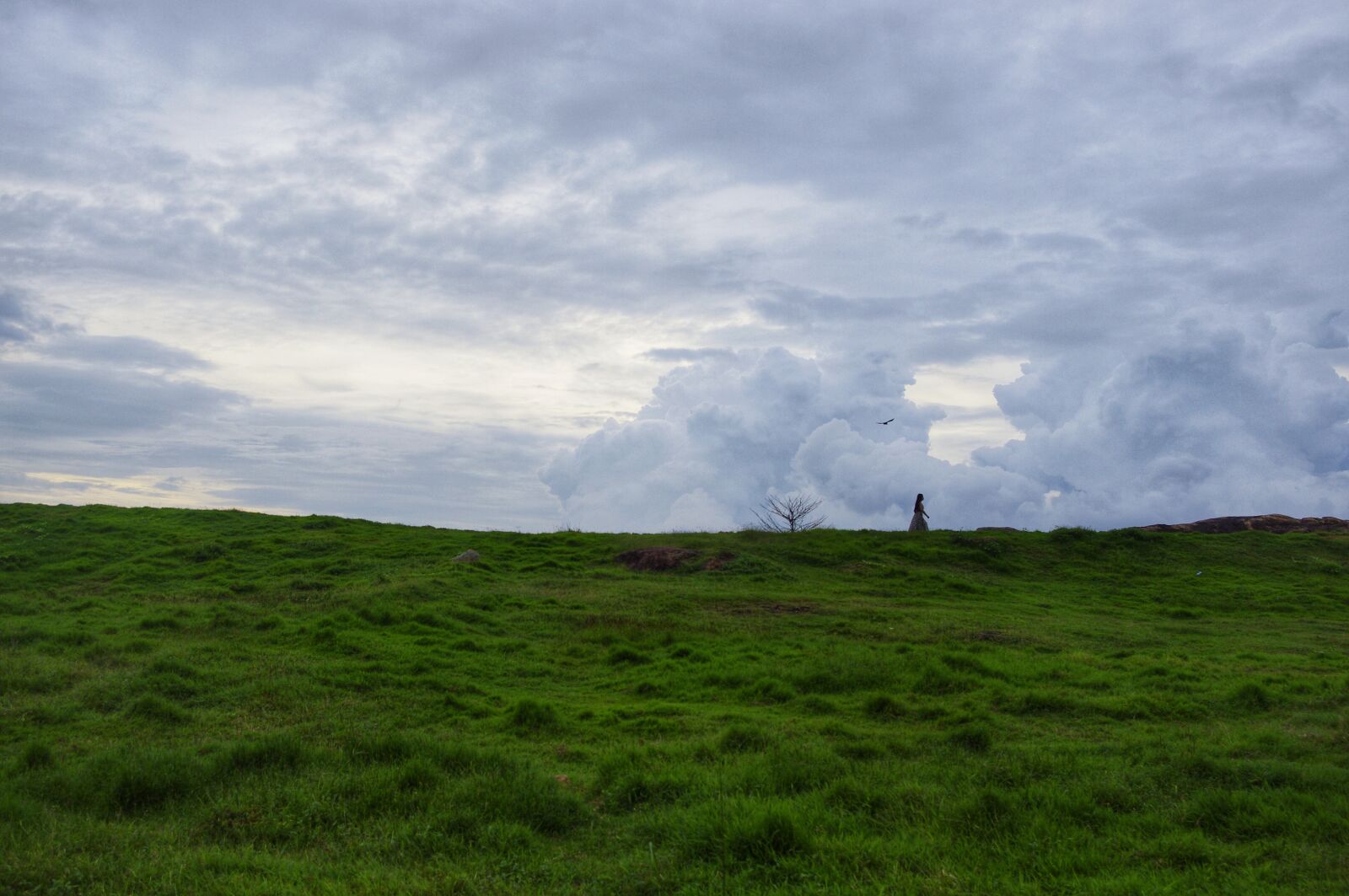 Pentax K-r sample photo. Lawn, clouds, figure photography