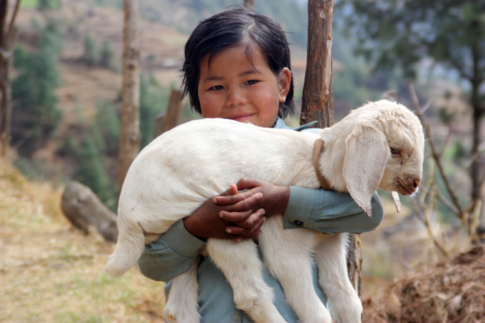 Canon EOS 450D (EOS Rebel XSi / EOS Kiss X2) sample photo. Nepal, lamb, sherpa photography