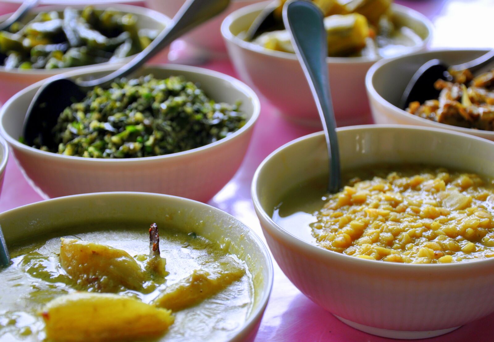 Nikon D90 sample photo. Food, bowls, curry photography