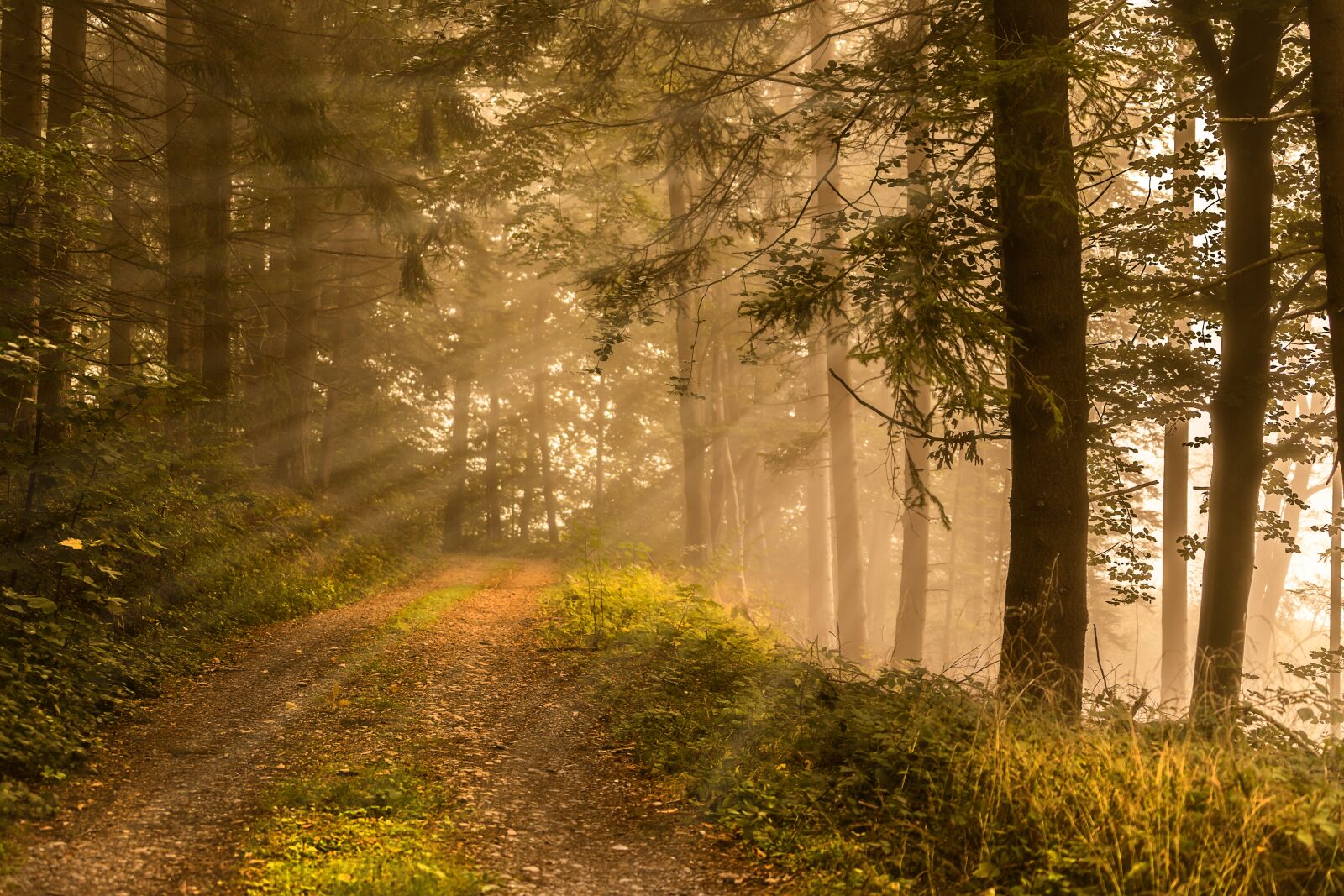 Sony a7 III + Sony FE 70-200mm F4 G OSS sample photo. Nature, away, landscape photography