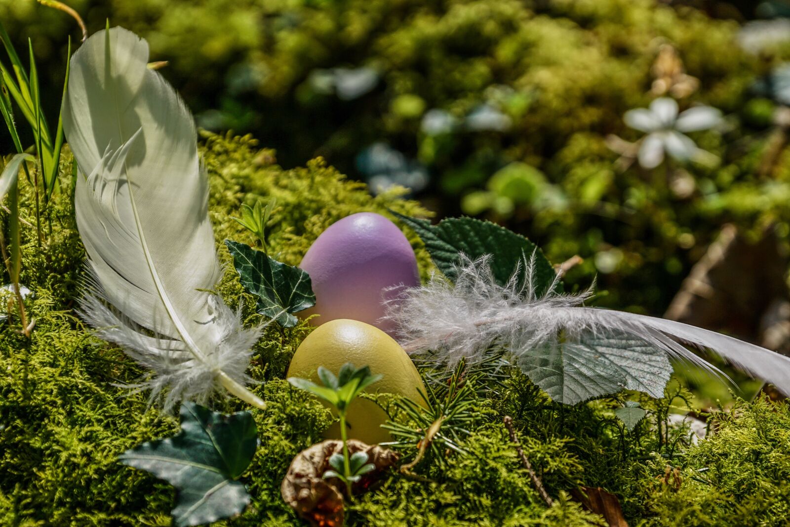 Sony DT 18-135mm F3.5-5.6 SAM sample photo. Easter, easter eggs, spring photography