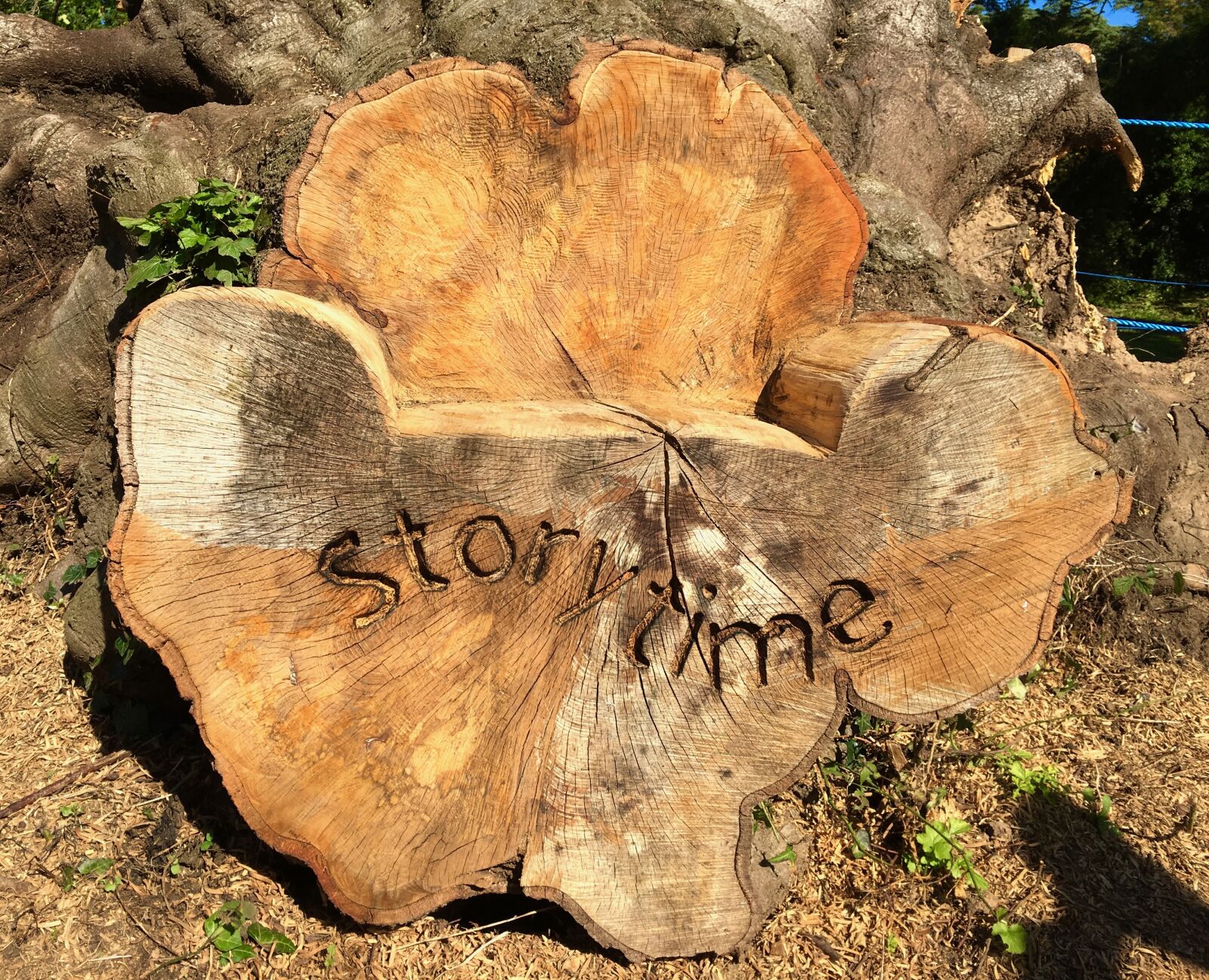 Apple iPhone 6s sample photo. Wood, story, story time photography