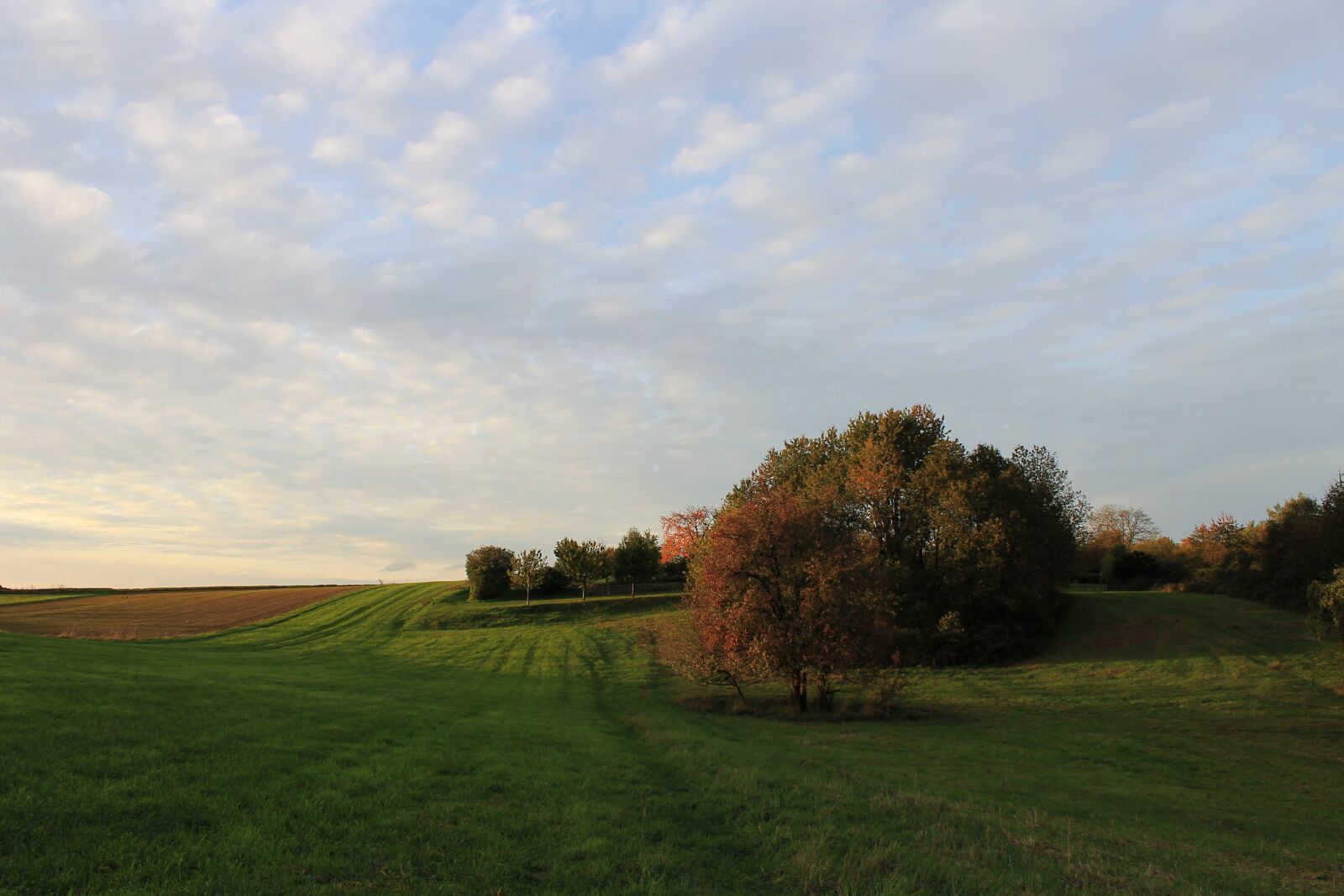 Canon EOS 1100D (EOS Rebel T3 / EOS Kiss X50) sample photo. Landscape, field, nature photography