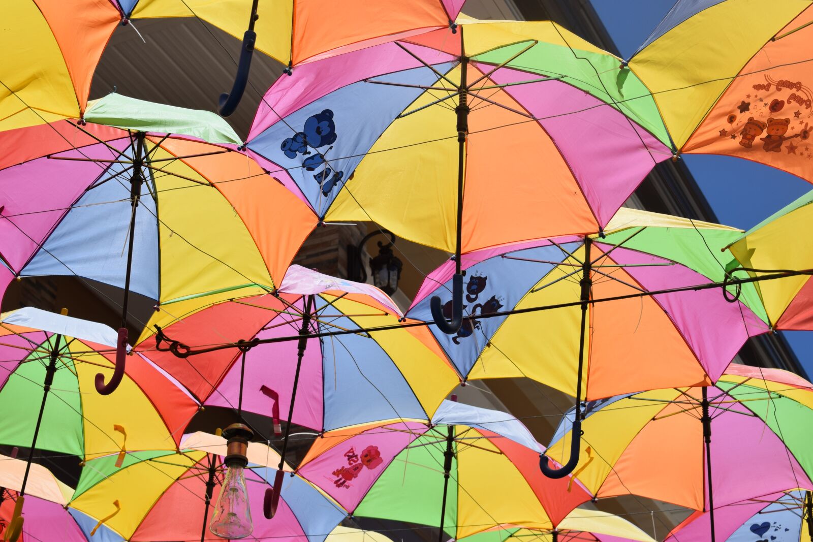Nikon D3300 sample photo. Sunshine, brollies, umbrellas photography