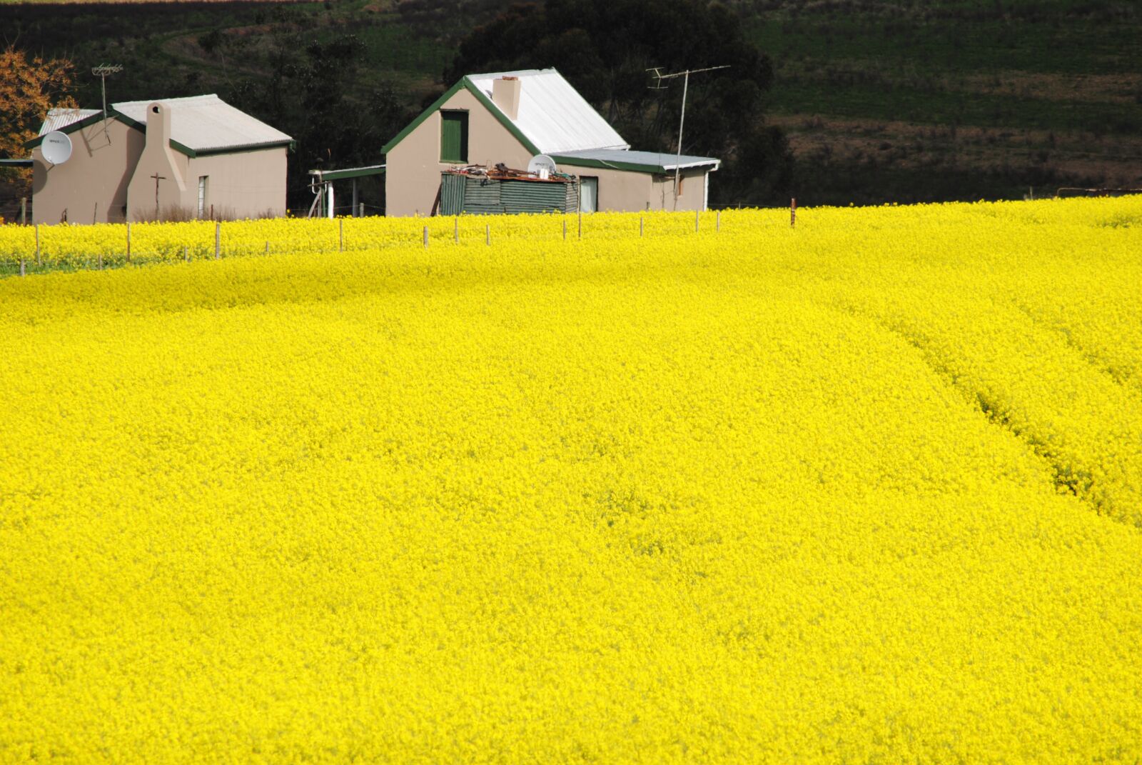 Nikon D3000 sample photo. Field, agriculture, farm photography