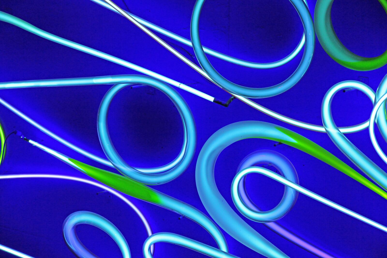Canon EOS 60D sample photo. Neon, blue, staples photography