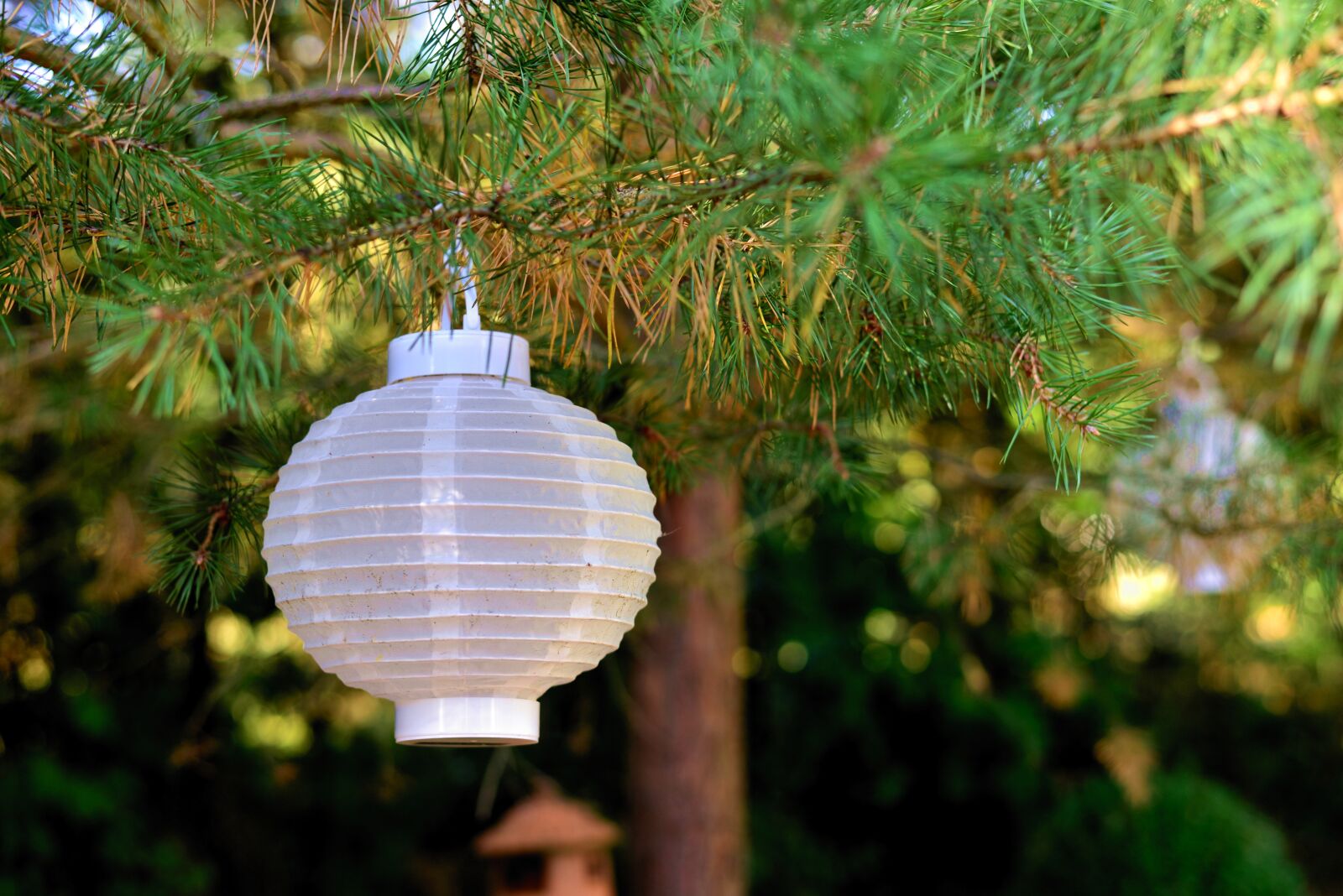 Nikon D610 sample photo. Lampion, tree, garden photography