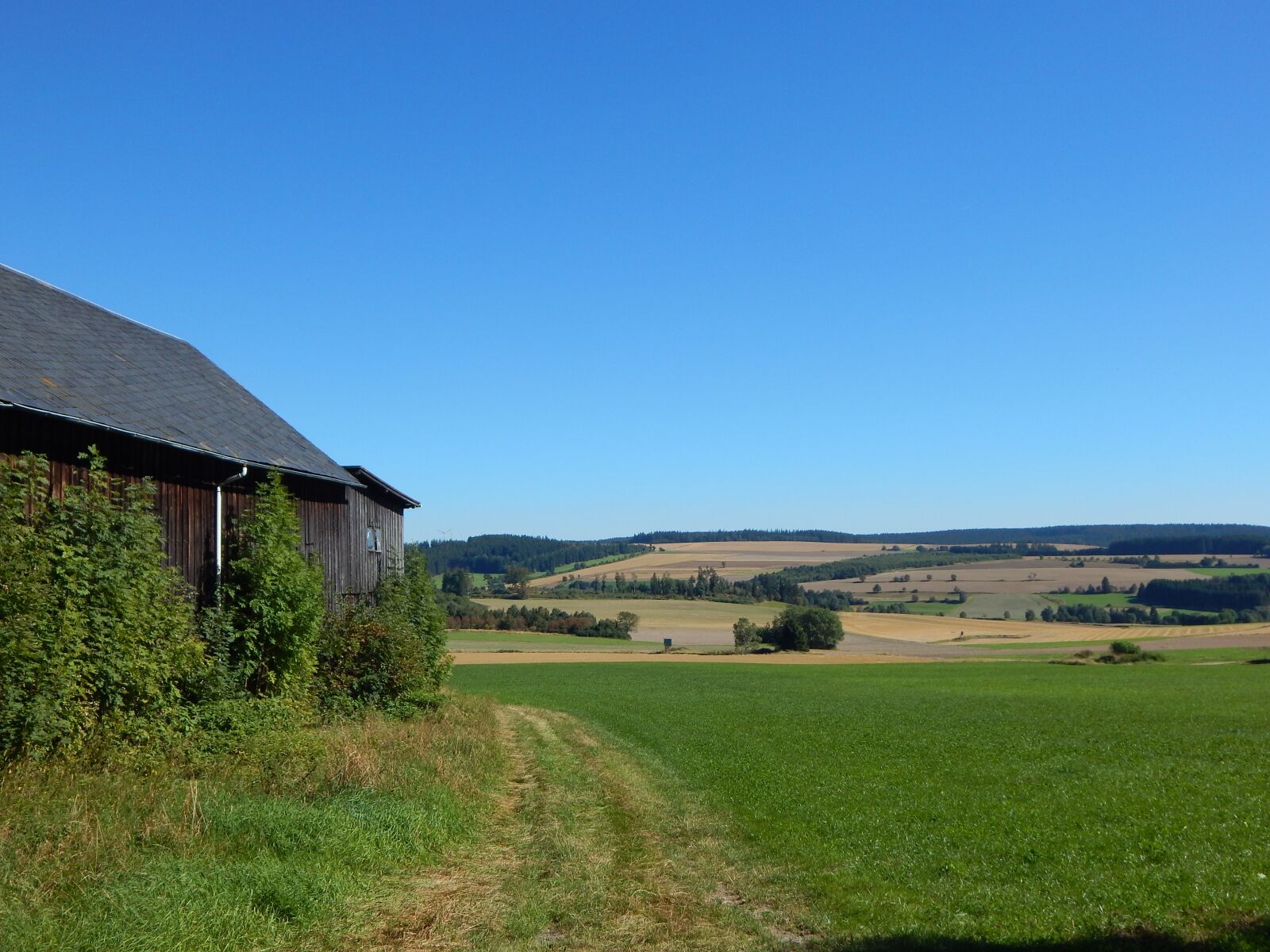 Nikon Coolpix L830 sample photo. Landscape, summer, nature photography