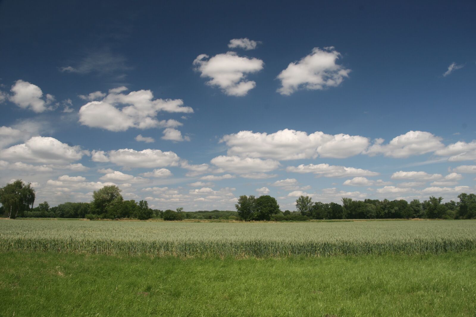 Canon EOS 20D sample photo. Field, sky, landscape photography